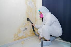 Mold Odor Removal Services in Prosser, WA